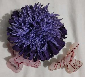 Hair Clips