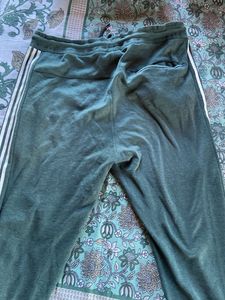 Pantaloons Ajile Green trackpant