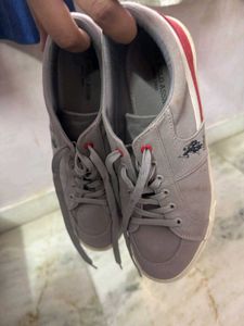 US POLO ASSN grey And Red Shoes
