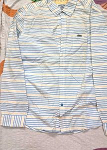 White Shirt  Full Sleeve Cotton  Blue Stripes.
