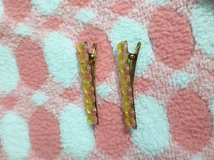 Floral Hair Clips (Set of 2)