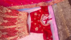 Red Velvet Bridal Lehnga
