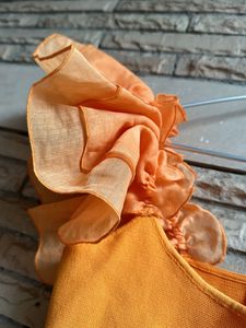 Zara Organza Sleeves Crop Top