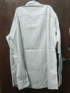 Regular Shirt With Striped Long Sleeve ButtonDown