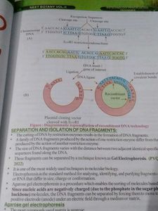 Narayana NEET Botany Volumes 1 &amp; 2