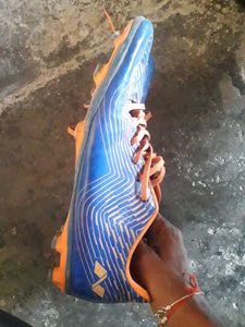 Sport Shoes