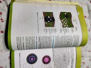 NCERT CLASS 11TH BIOLOGY BOOK