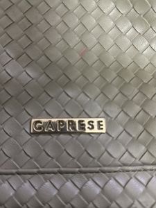 Caprese Handbag