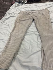 Pant