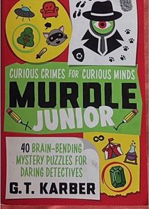 Fun Maths Puzzle Book