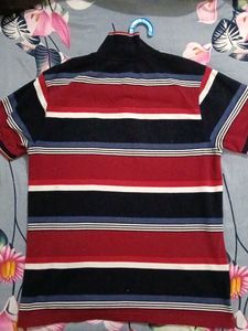 Striped Polo T-Shirt