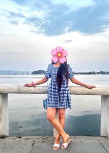 Blue Checks Dress