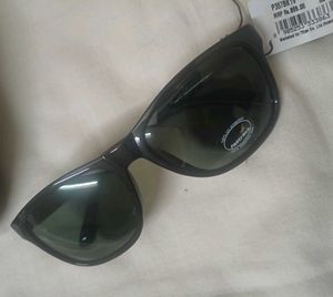 Fastrack Sunglasses