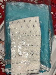 Jimmy Choo Saree With Chikankari Blouse