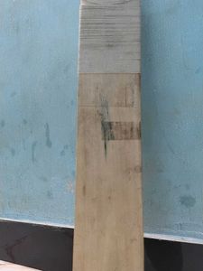 Cricket Bat