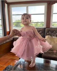 Organza Fabric