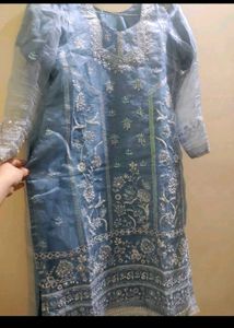 New Organza Kurta Set