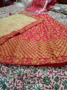 Gorgeous Lehenga Choli