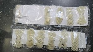 Pearl Hair Clips 10pcs
