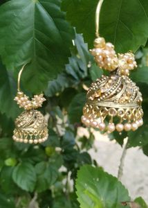 Gold Plated Bali Earring