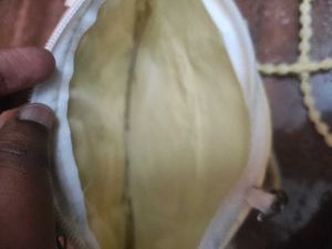 new Bird Embroidered Handbag with sling