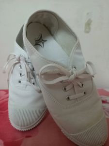 Canvas Shoe