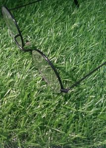Sunglass