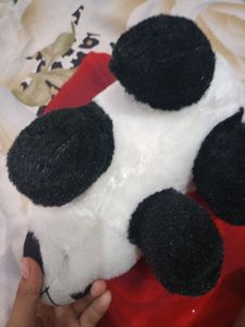 Cute Panda Softoy
