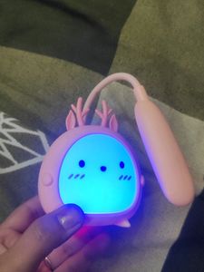 Rechargeable Study Lamp