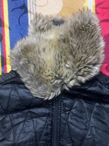 winter Jacket