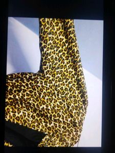 Leopard Print Mini Dress