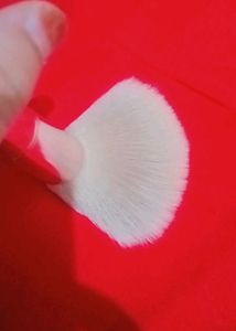 Fluffy Powder Brush