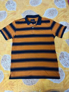 Striped Polo Shirt