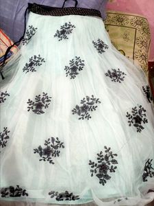 Floral Embroidered Tulle Skirt