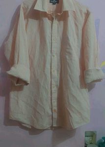 BRAND NEW Striped Button-Down Shirt