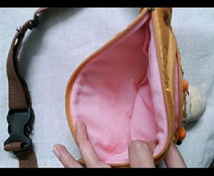 Sligbag/Fennypack For Kids!