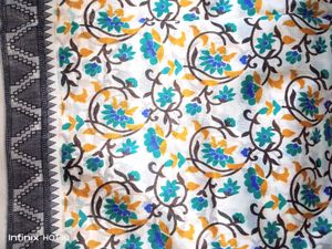 Organza Handloom Saree