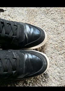 Nike SB Delta Force