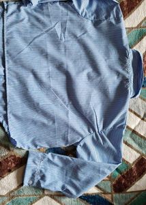 Blue Striped Button-Down Shirt