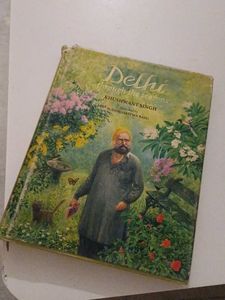 Delhi Through the Seasons