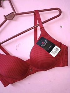 New with tag Elegant Maroon Bra