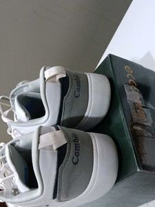 Combit Shoes for Men White Light Grey