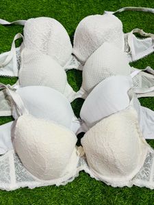 38 Cd Padded