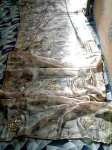 Beautiful Organza Saree
