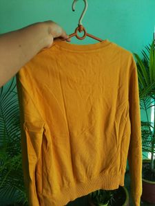Pantaloons Sweatshirt