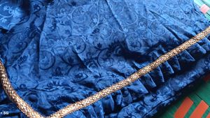 Elegant Blue Saree