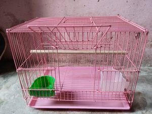 Cage For Birds