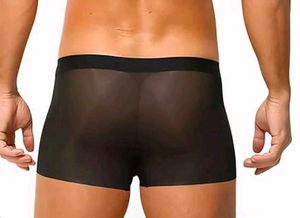 Sheer Mesh Boxer Briefs