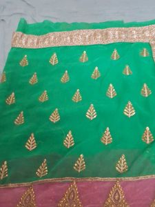 Multi Color Heavy Work Paroot Green Designer