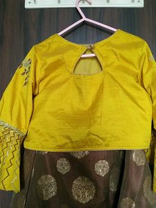 Brown &amp; Gold Lehenga with Dupatta